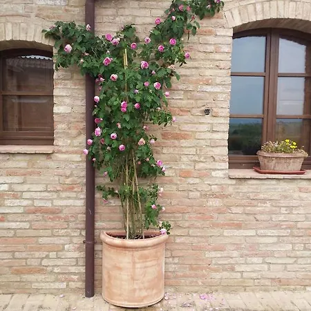 San Pierino Farm stay *