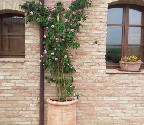 San Pierino Bauernhof *